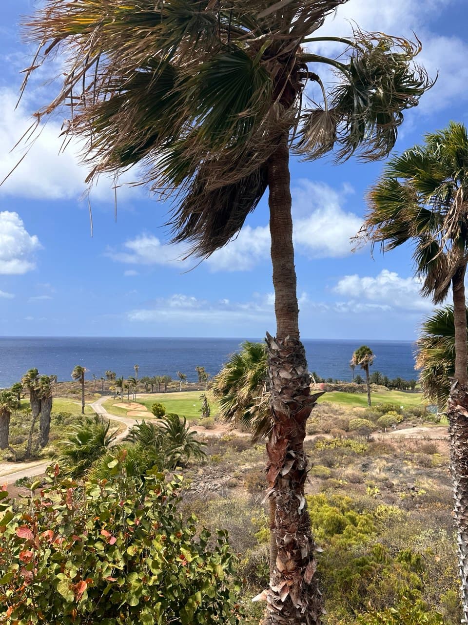 Golf course overlooking the ocean